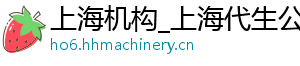 上海机构_上海代生公司_上海公司	